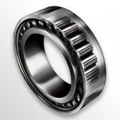 Rodamiento de rodillo cilíndrico sin jaula
